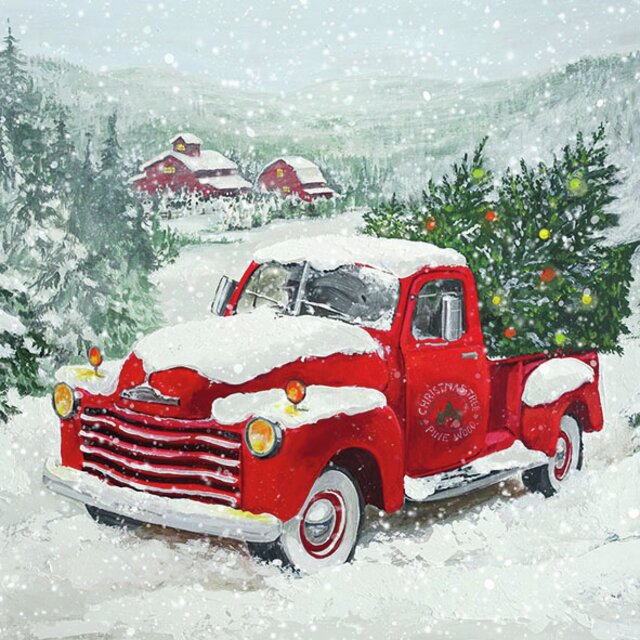 SERVETTER christmas truck