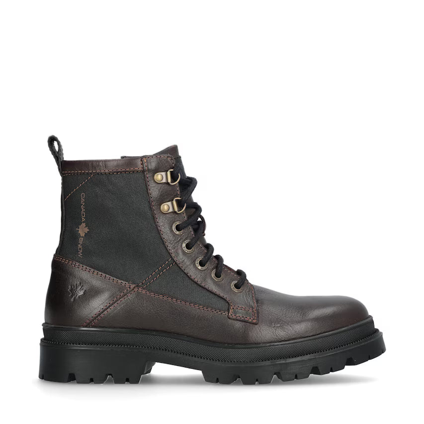 Mount Hektor Brown CANADA SNOW