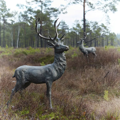 HJORT (HÄMTAS I BUTIK)